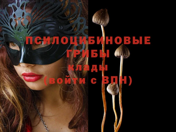МДМА Осинники