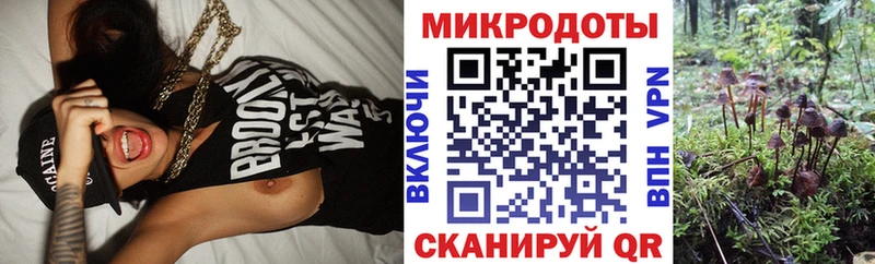 Галлюциногенные грибы мицелий  Ак-Довурак 